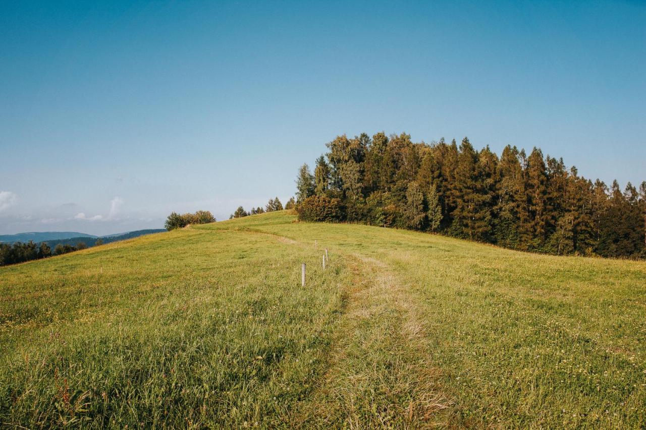 Pasieka - Dom Wypoczynkowy Bacza Exteriér fotografie
