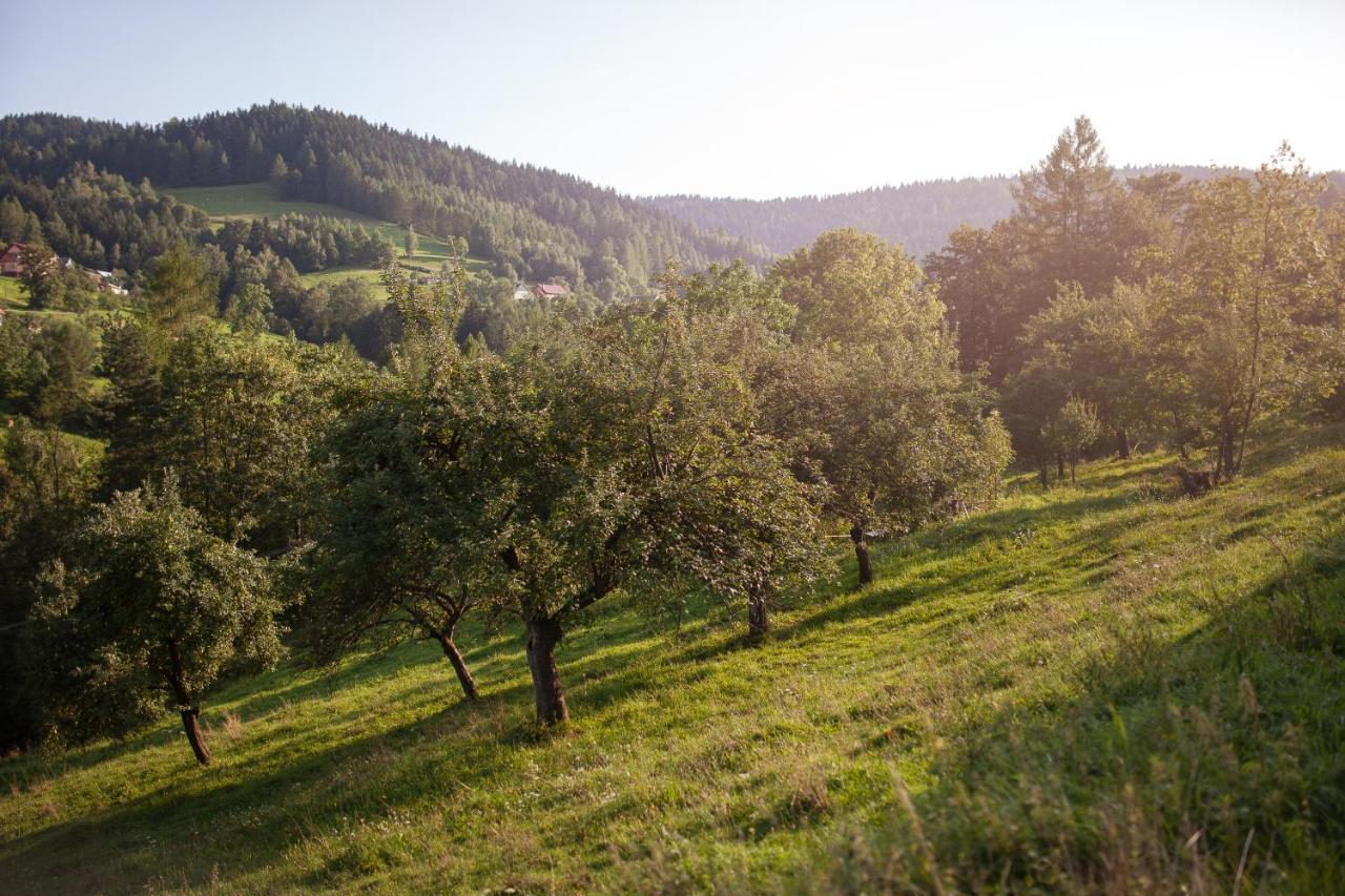 Pasieka - Dom Wypoczynkowy Bacza Exteriér fotografie